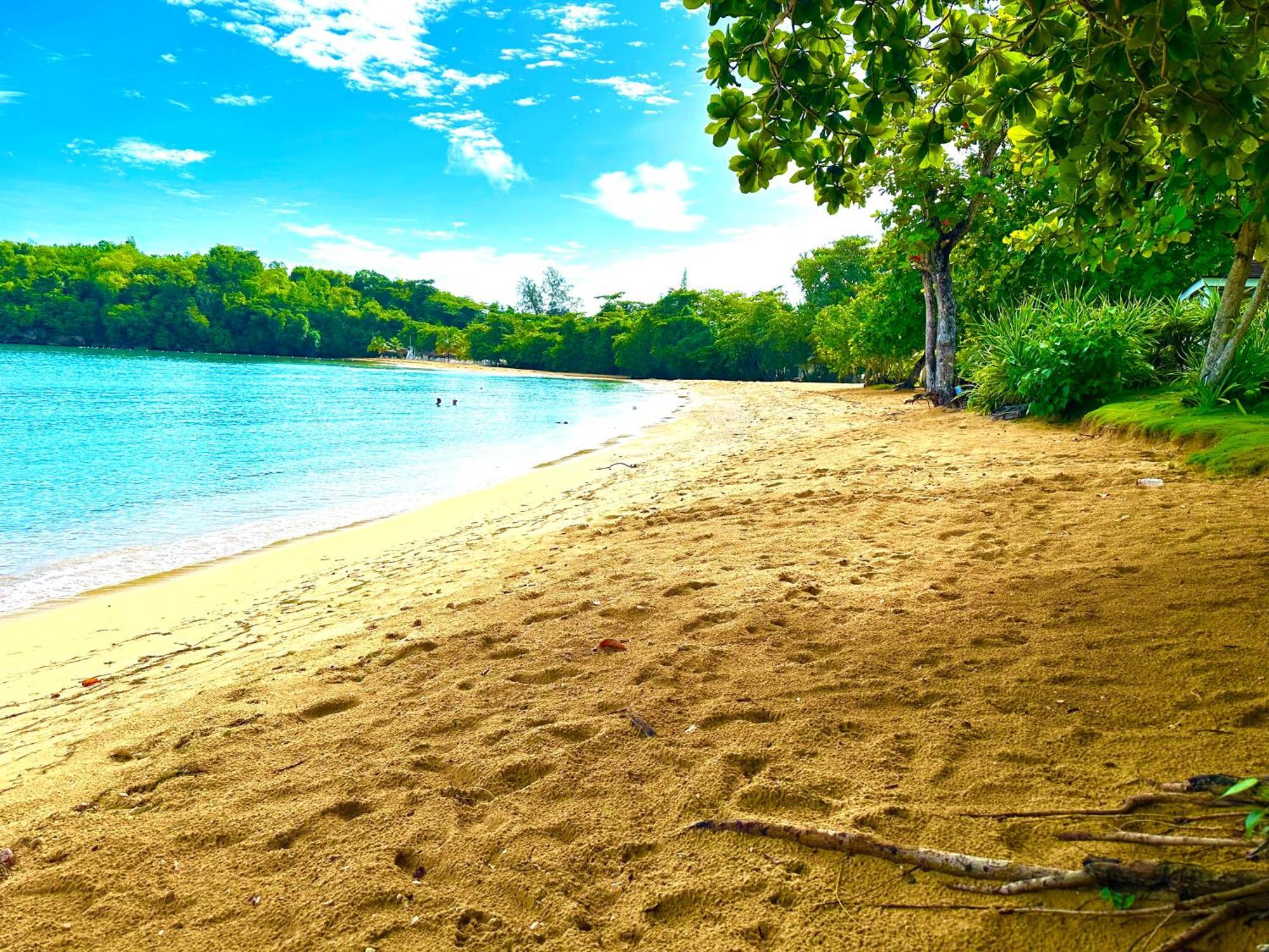 Sand And Tan Beach Hotel Ocho Rios Luaran gambar